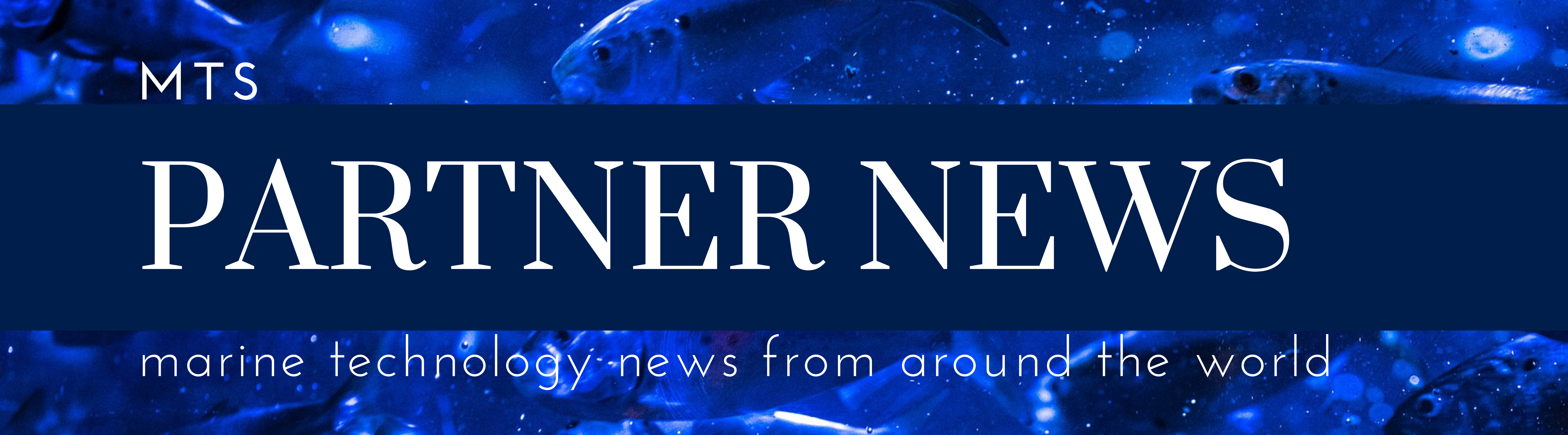 Partner News